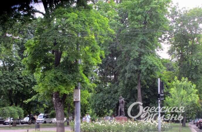 Александровский проспект, лето 2022-2