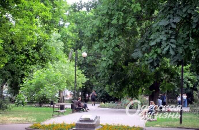 Александровский проспект, лето 2022-4