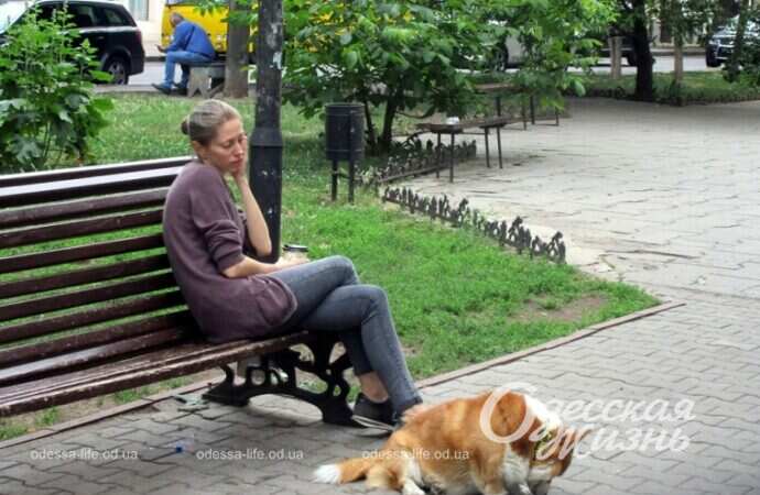 Александровский проспект, лето 2022-5