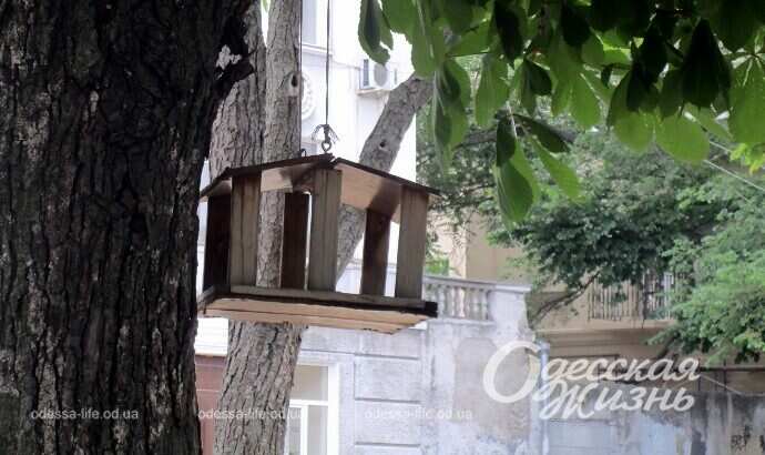 Александровский проспект, лето 2022-9