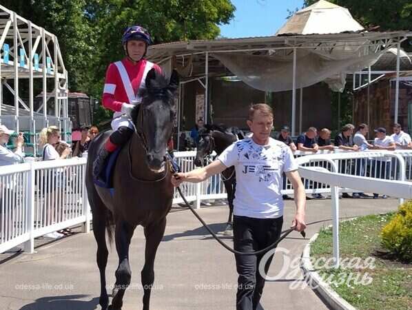 Открытие сезона на одесском ипподроме, всадник