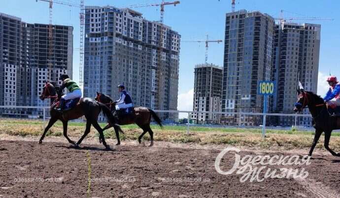 Скачки на одесском ипподроме