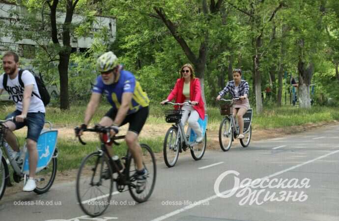 трасса здоровья