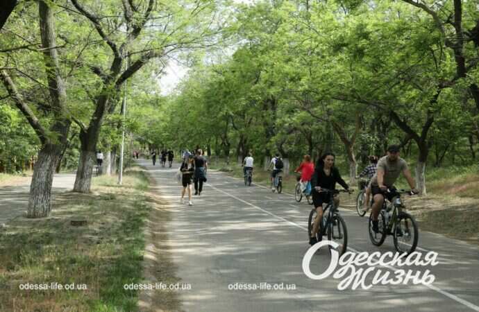 трасса здоровья