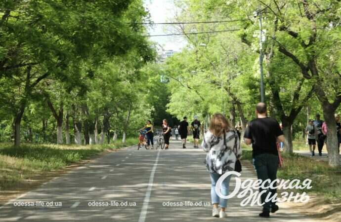 трасса здоровья