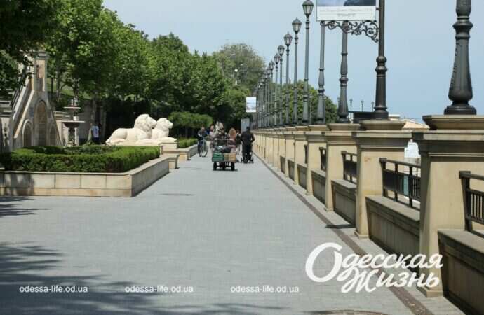 трасса здоровья