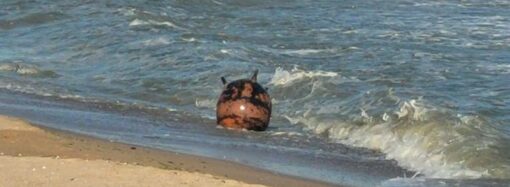 На пляжі на Одещині вибухнула міна
