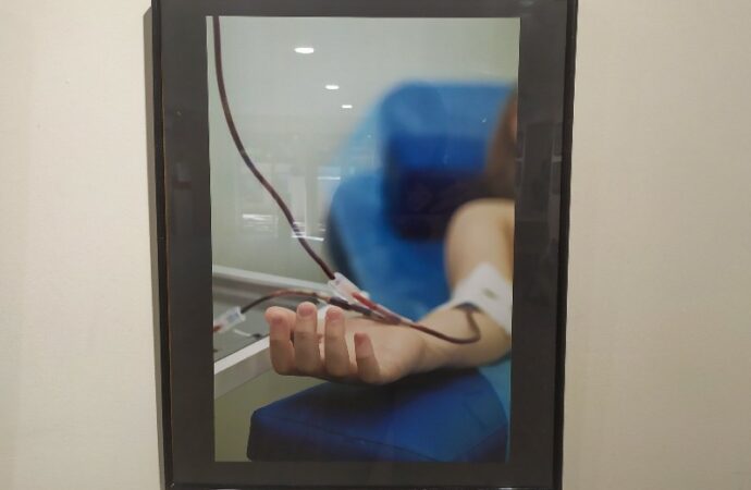 Выставка в честь доноров в Одессе8