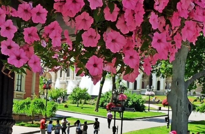 Какой будет погода в Одессе: прогноз на 5 июля