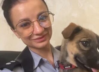 Житель Одессы избивал щенка: животное спасла публикация в соцсетях