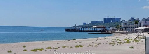 Пляжі Одеси починають заростати бур’янами (фото)