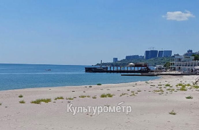 Пляжи Одессы начинают зарастать сорняками (фото)