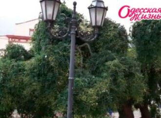 Одесский Театральный сад: от старины до наших дней (видео)