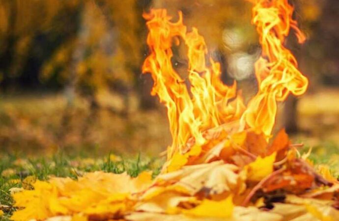 Спалювання листя: що загрожує за заподіяну екології шкоду?