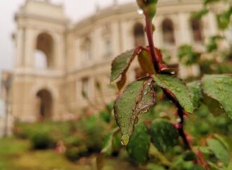 Погода в Одессе 18 августа: третий день дождь с грозой
