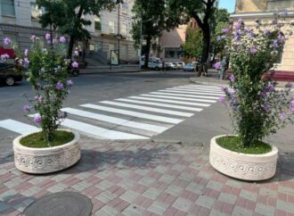 Где в Одессе появились 2 новых пешеходных перехода? (фото)