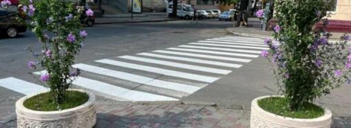 Де в Одесі з’явилися 2 нові пішохідні переходи? (Фото)