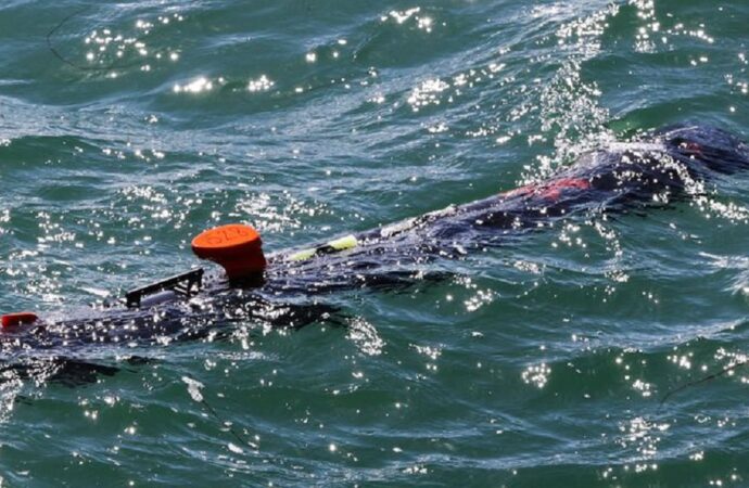 Чорне море будуть розміновувати за допомогою безпілотних підводних апаратів