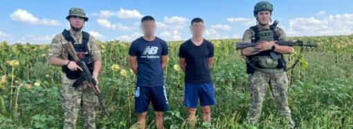 На Одещині затримали чергову «партію» ухилянтів – ховалися у соняшниках