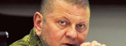 Залужний – залізний генерал: як бачать поляки українського головнокомандуючого
