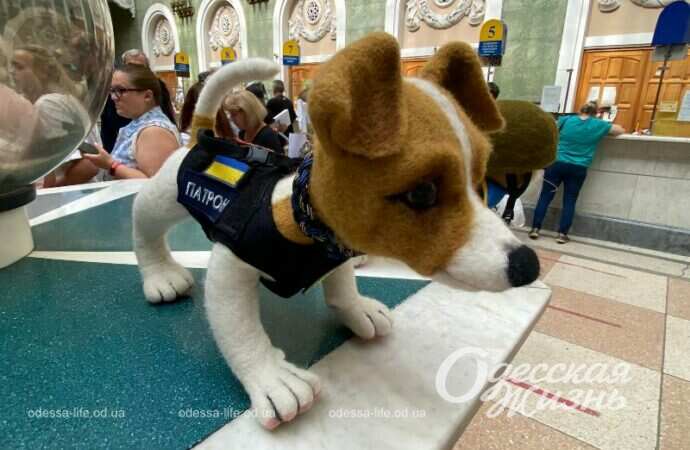 Гашение марки с псом Патроном в Одессе8