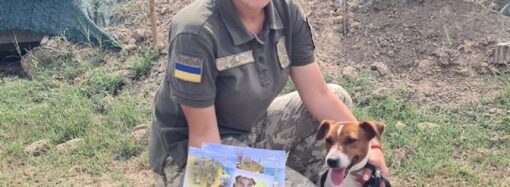 В Одесской области служит «брат» знаменитого пса-сапера Патрона (фото)
