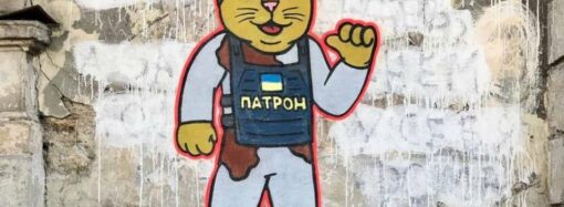На Итальянском бульваре в Одессе замечен кот Патрон – фотофакт
