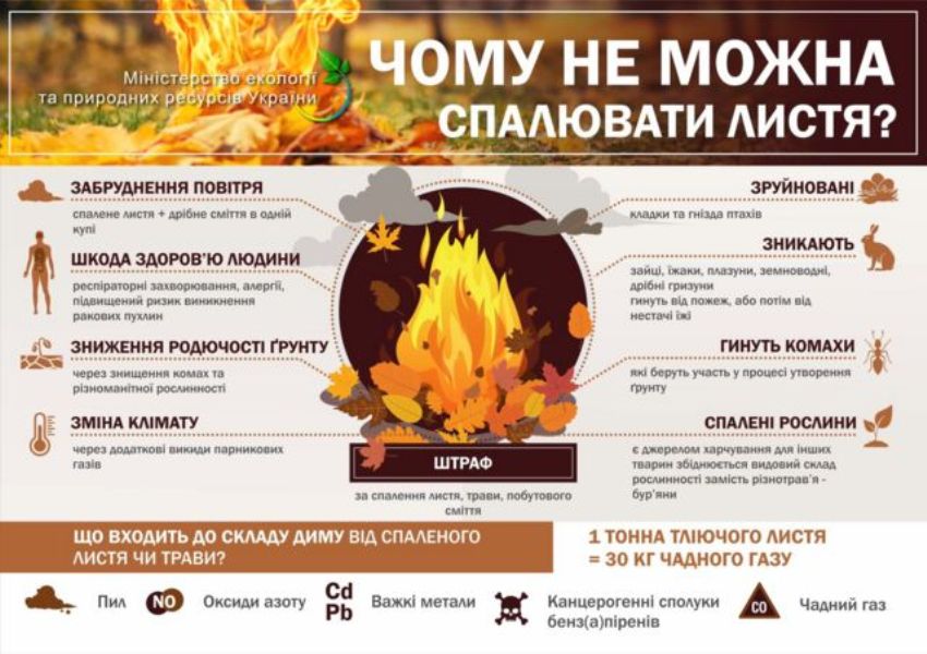 Сжигание сухих листьев, инфографика