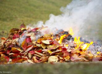 Спалювання сухого листя: що загрожує порушникам?