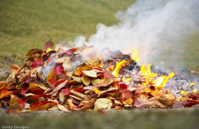 Сжигание сухих листьев: что грозит нарушителям?