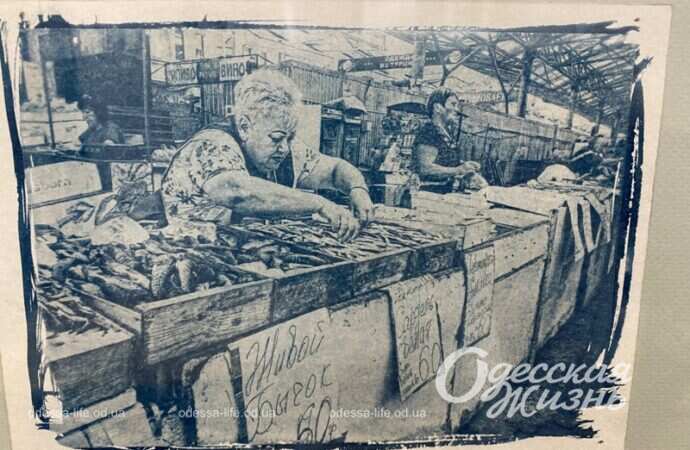 Презентация книги о Привозе6