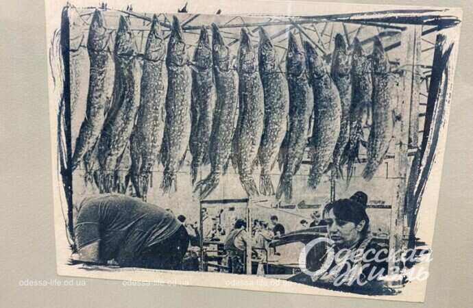 Презентация книги о Привозе9