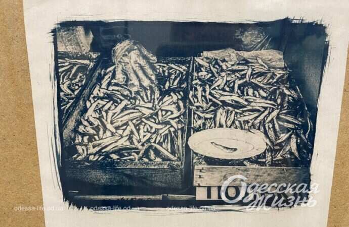 Презентация книги о Привозе3