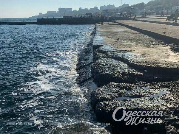 Осенний Ланжерон13