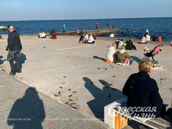 Осенний Ланжерон14