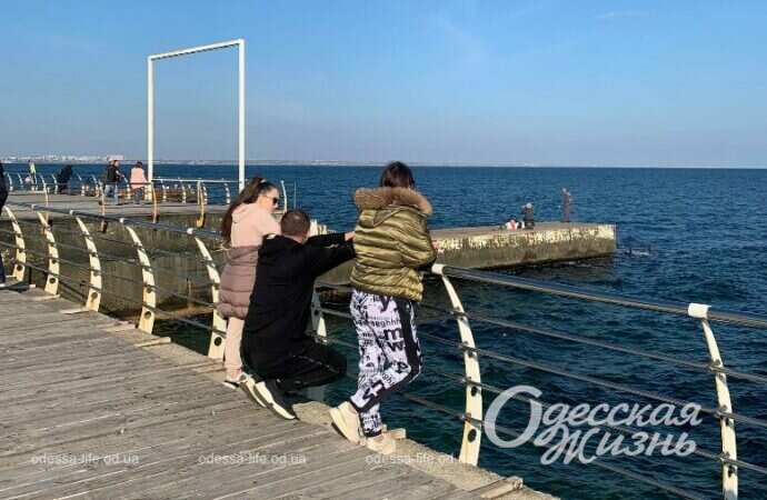 Осенний Ланжерон24