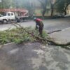 В Одессе «похозяйничал» штормовой ветер: фото последствий