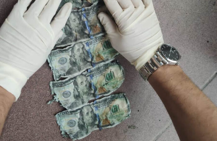 хабар приватному виконавцю