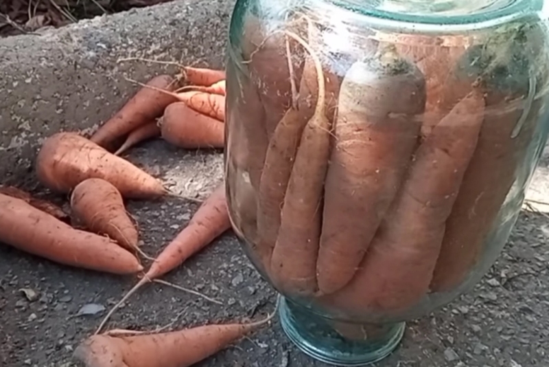 Як зберігати моркву