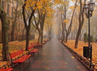 Прогноз погоды в Одессе 23 ноября: ожидаются туман и дождь