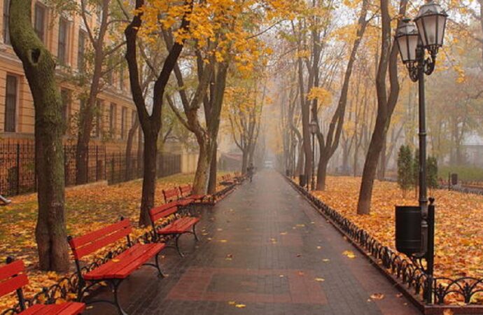 Прогноз погоди в Одесі 23 листопада: очікуються туман та дощ