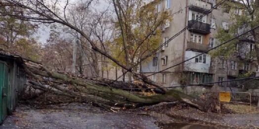Вітер в Одесі валить дерева та ламає гілки (фото)