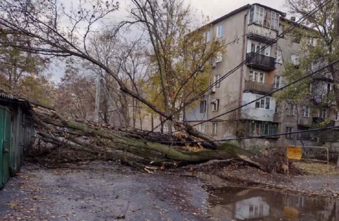 Ветер в Одессе валит деревья и ломает ветки (фото)