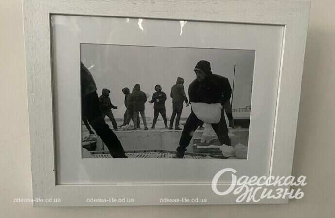 Панно из фото, выставка в Одессе11
