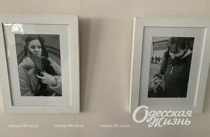 Панно из фото, выставка в Одессе6