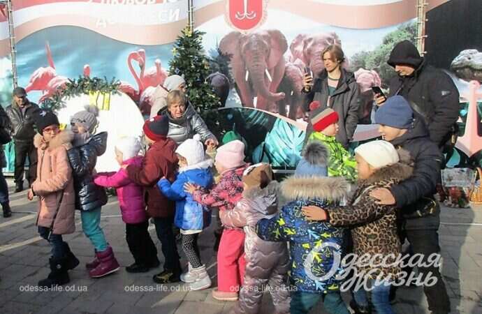 Рождественский праздник в зоопарке14