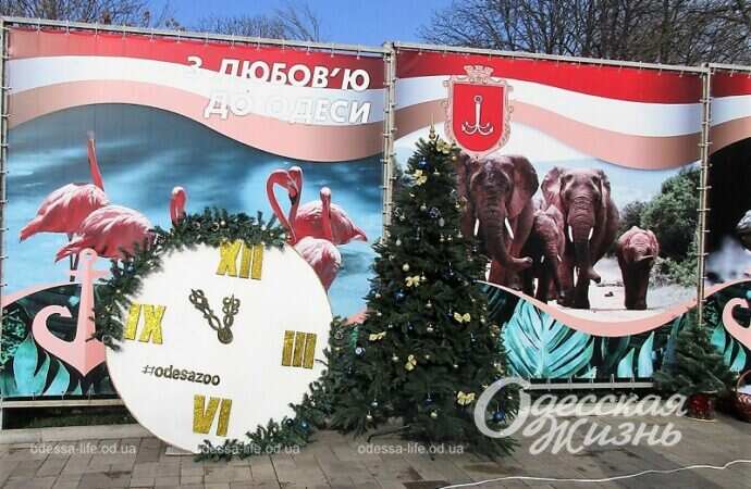 Рождественский праздник в зоопарке3