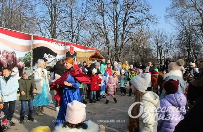 Рождественский праздник в зоопарке9