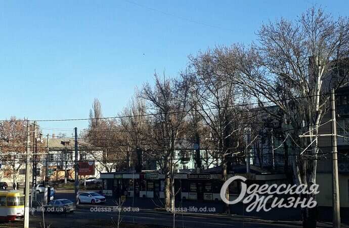 1-я станция Люстдорфской дороги, утро 29 декабря 2022-6