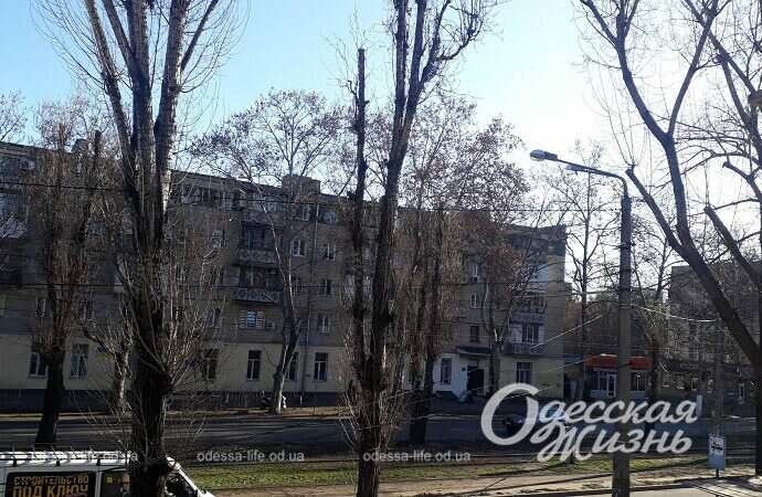 1-я станция Люстдорфской дороги, утро 29 декабря 2022-7